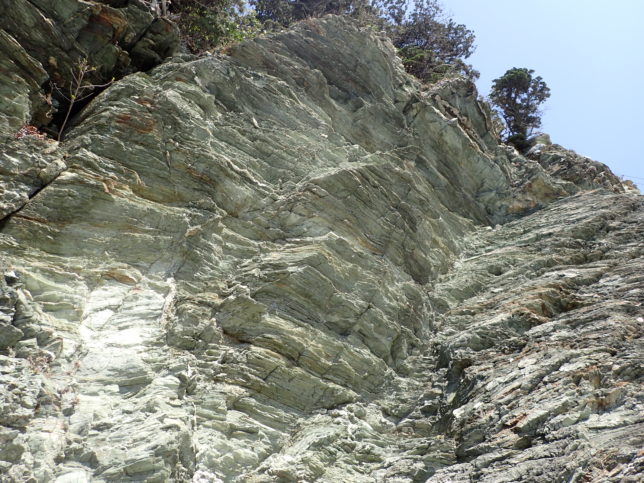オソゴエ海岸（宇和海側）の岩肌
